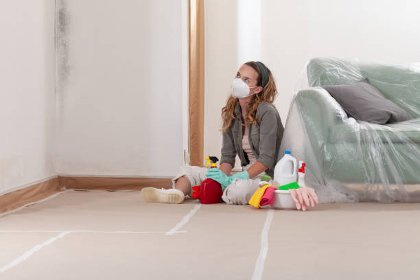 Reliable Commercial Mold Remediation contractor in Freeland, PA by WQB Mold Removal